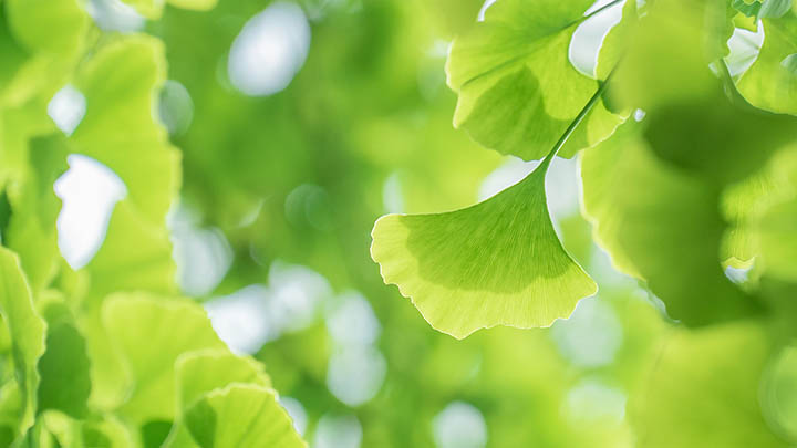 了解文档格式支持 二