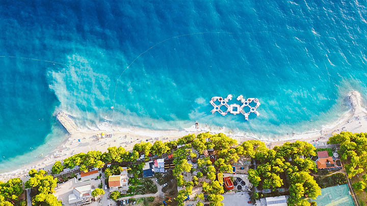 平板端有道翻译文档下载指南安卓/苹果适用 二