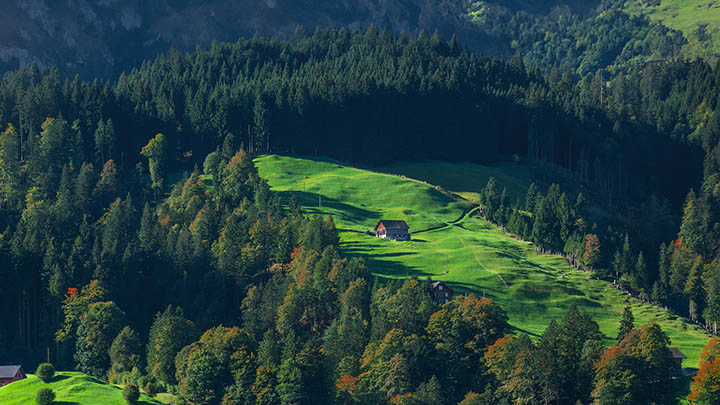 有道翻译下载网页翻译出错？五种技巧教你轻松解决 二
