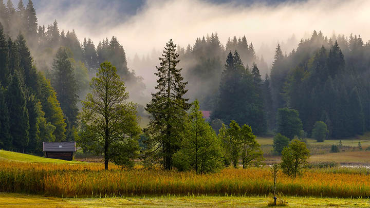 网页端有道翻译下载与安装全指南：轻松获取最新网页翻译版本 二