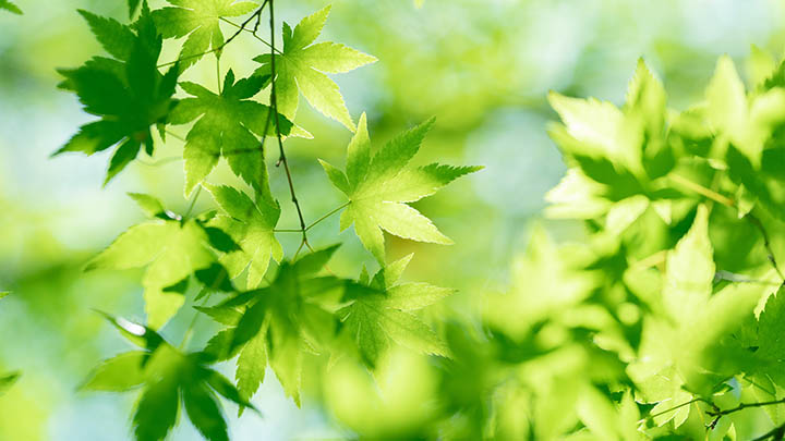 有道翻译快捷键设备设置教程2025年准备、排查、实战攻略 二