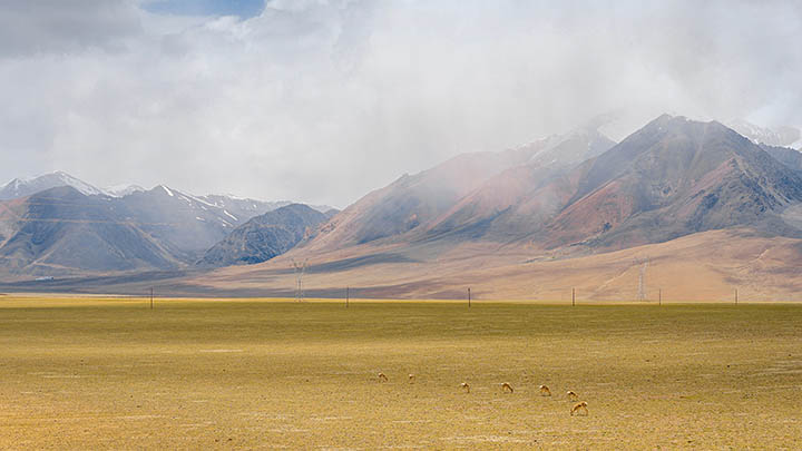 安卓有道翻译下载热门快捷键指南 二