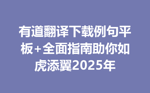有道翻译下载例句平板+全面指南助你如虎添翼2025年 一