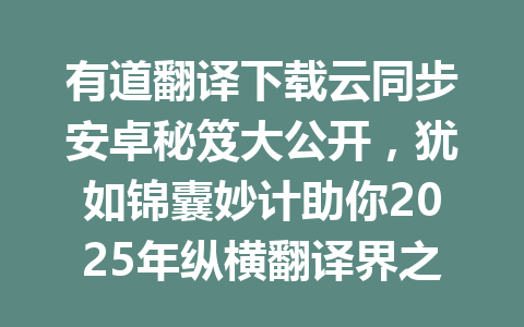 有道翻译下载云同步安卓秘笈大公开,犹如锦囊妙计助你2025年纵横翻译界之旅! 一