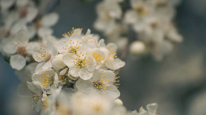 有道翻译下载生词本设备使用技巧全揭秘 二