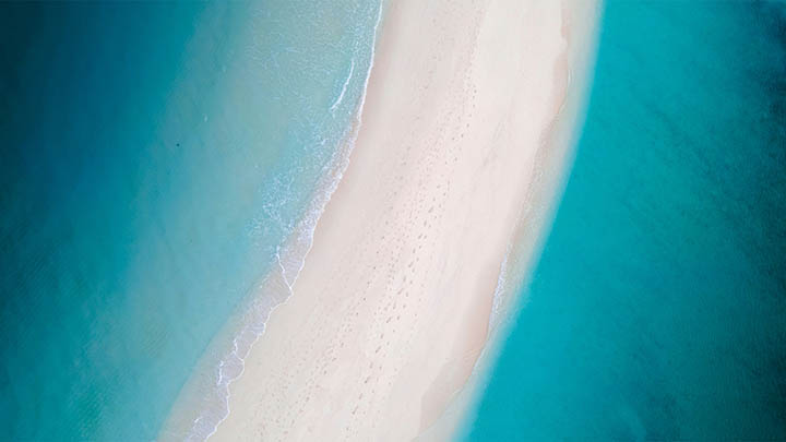 有道翻译下载生词本系统：解锁最佳使用技巧 二