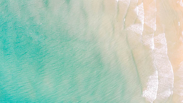 有道翻译下载生词本功能如何触屏平板兼容？多设备同步技巧揭秘 二