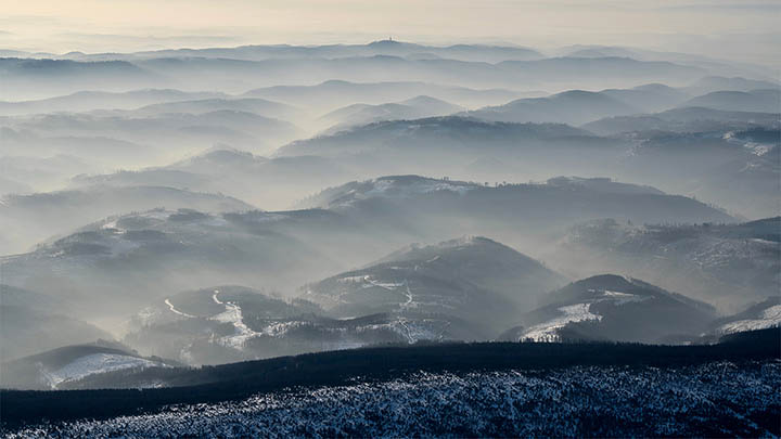 有道翻译如何下载到电脑?词典功能全解+离线安装教程详解 二