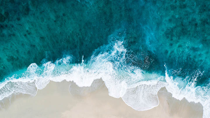 有道翻译下载：例句功能用法详解 二