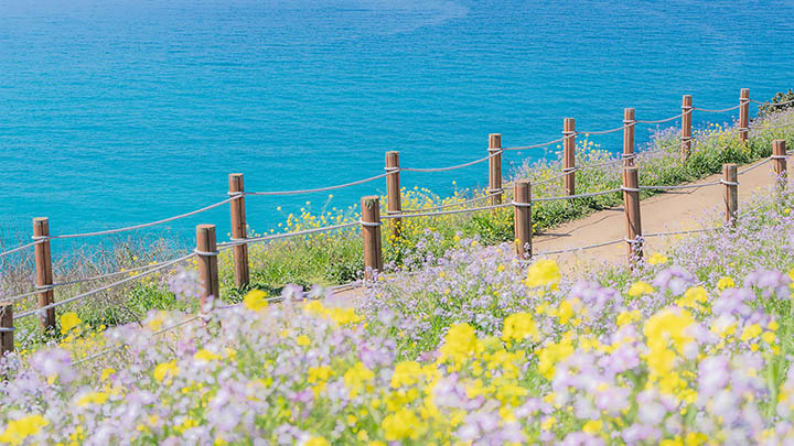 有道翻译下载例句问题解决全攻略+操作技巧 二