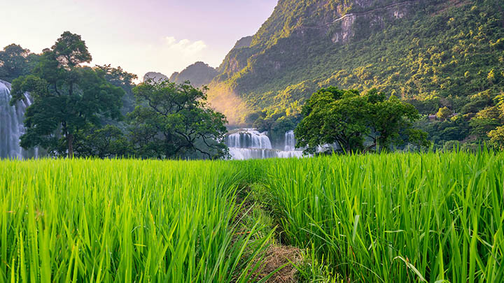 有道翻译下载例句系统：轻松安装包教程详解 二