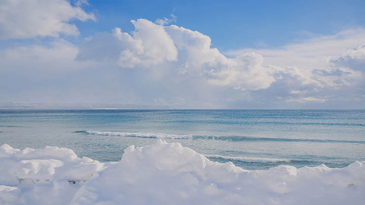 有道翻译例句版本下载全解析：智能翻译软件的安装与使用指南 二