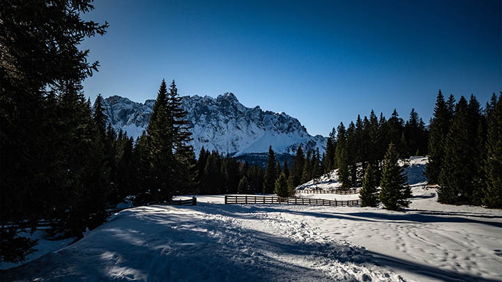 有道翻译下载例句苹果版攻略详解 二