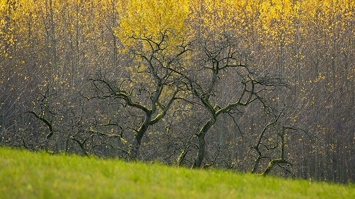 有道翻译下载例句电脑实用技巧全解析 二