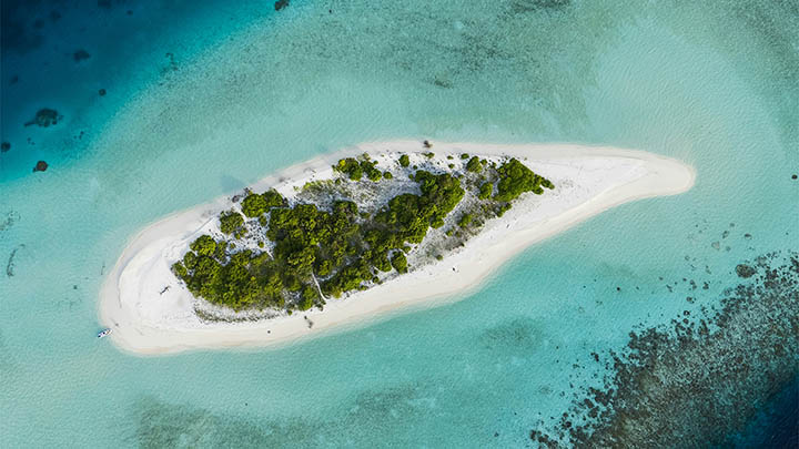 有道翻译下载发音问题？教你3招快速解决 二