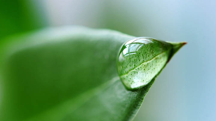 有道翻译下载发音苹果设备常见问题与解决方案指南 二