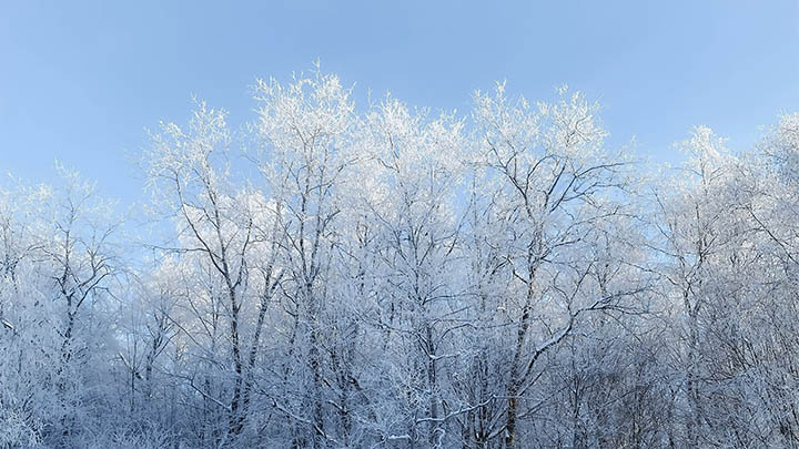 如何安全恢复有道翻译下载历史记录手机版本+实用工具推荐 二