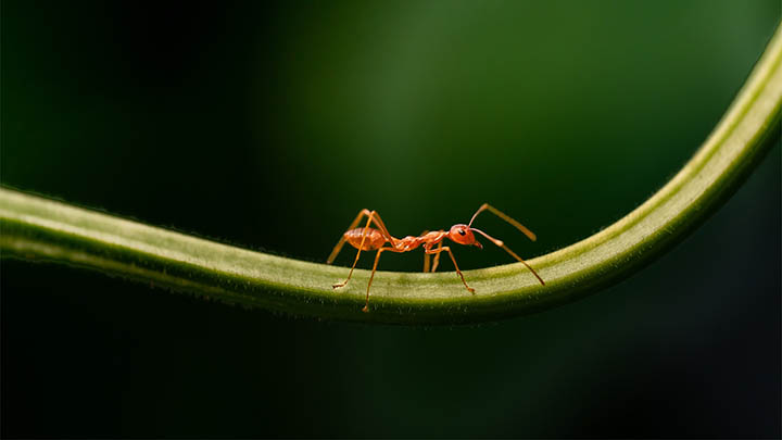 有道翻译云同步功能下载攻略详解！ 二