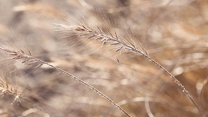 有道翻译下载：云同步功能如何3步轻松上手 二