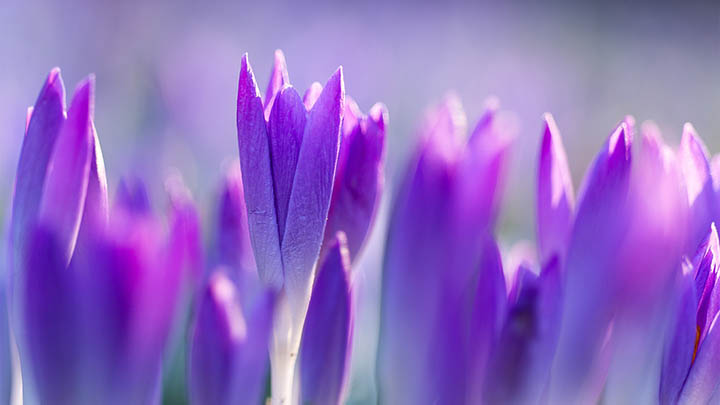 有道翻译下载云同步超全指南 二