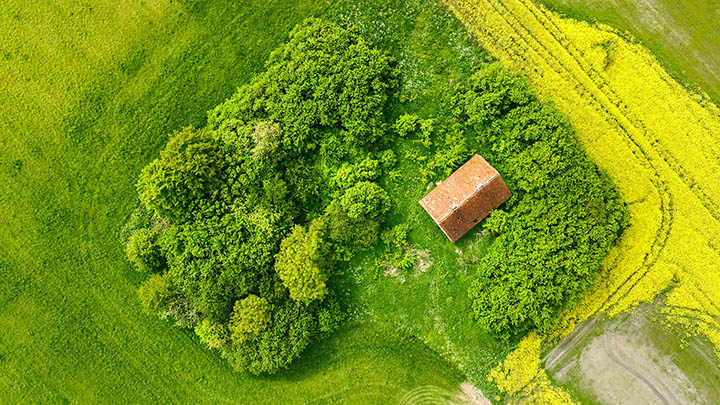 有道翻译下载云同步系统：掌握全新技巧 二