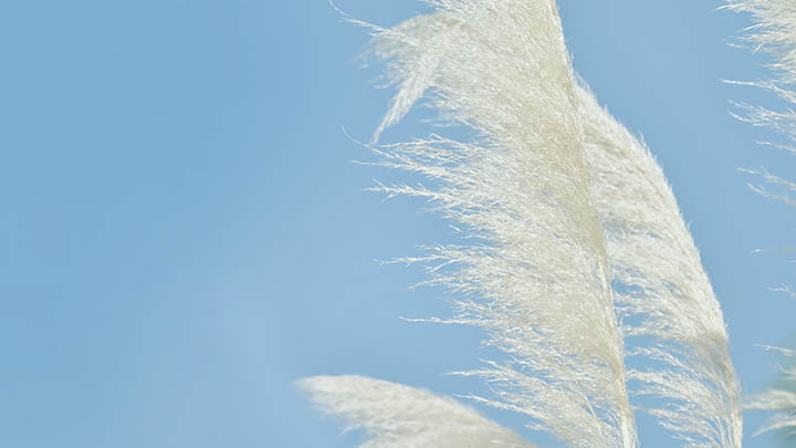 有道翻译下载云同步安卓秘笈大公开,犹如锦囊妙计助你2025年纵横翻译界之旅! 二