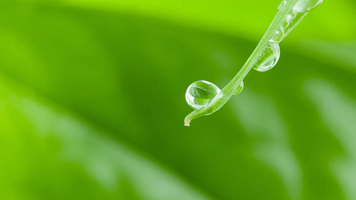 有道翻译下载全攻略+云同步手机指南 二