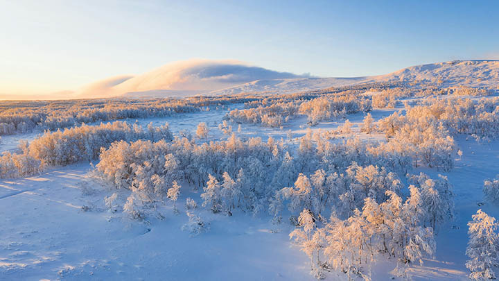 有道翻译会员下载指南全流程详细解答与常见疑问处理 二