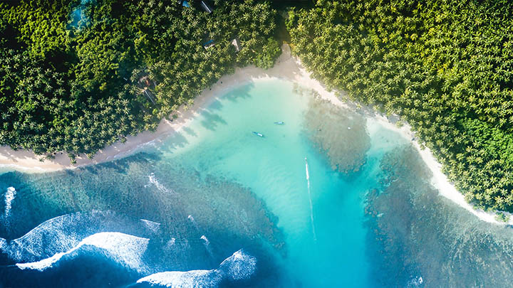 有道翻译会员版电脑下载问题全面解决指南:无法安装、卡顿及会员授权故障一站式排查 二