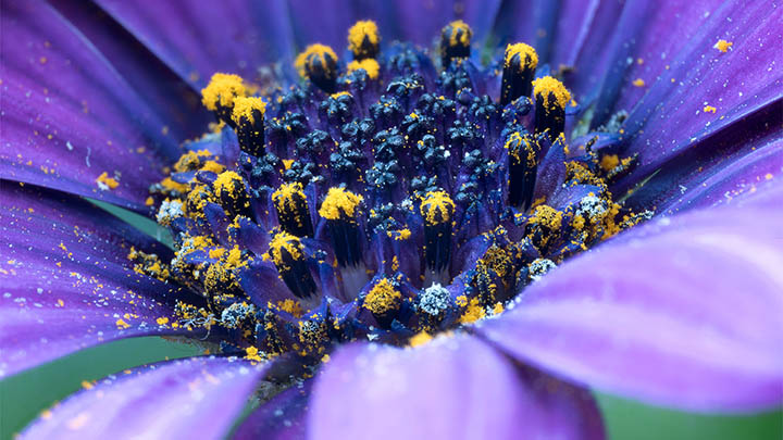 手机端有道翻译下载与安装教程全解析附操作细节图解 二